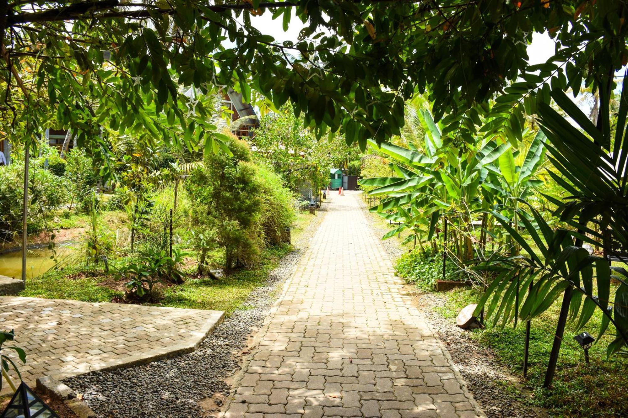 Steps Garden Resort Negombo Eksteriør billede