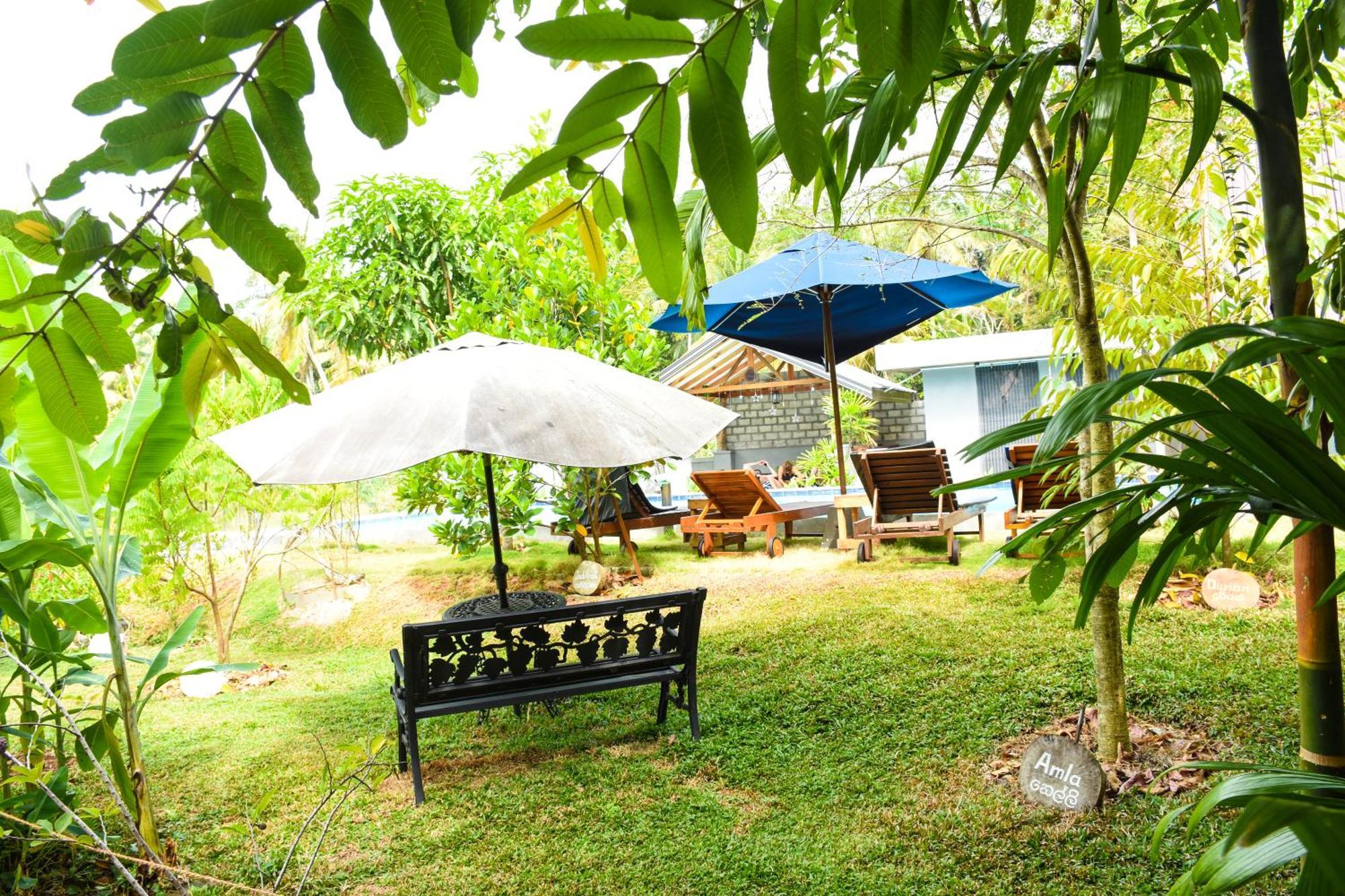 Steps Garden Resort Negombo Eksteriør billede